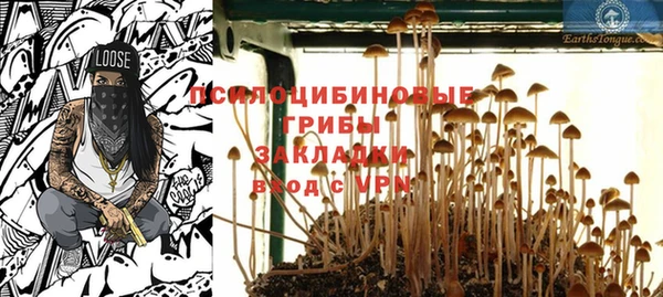 винт Армянск