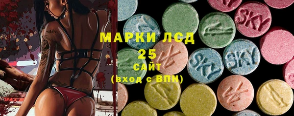 эйфоретик Аркадак